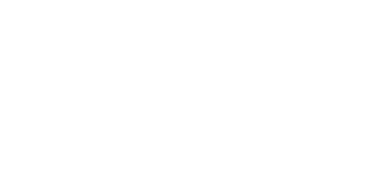 dokfest