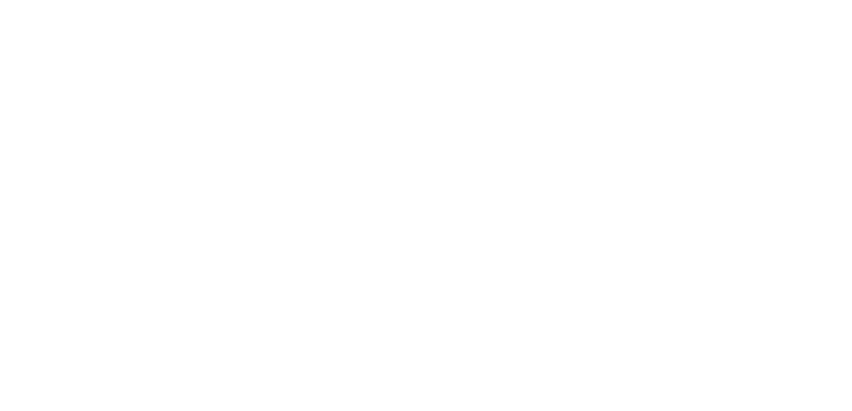verzio